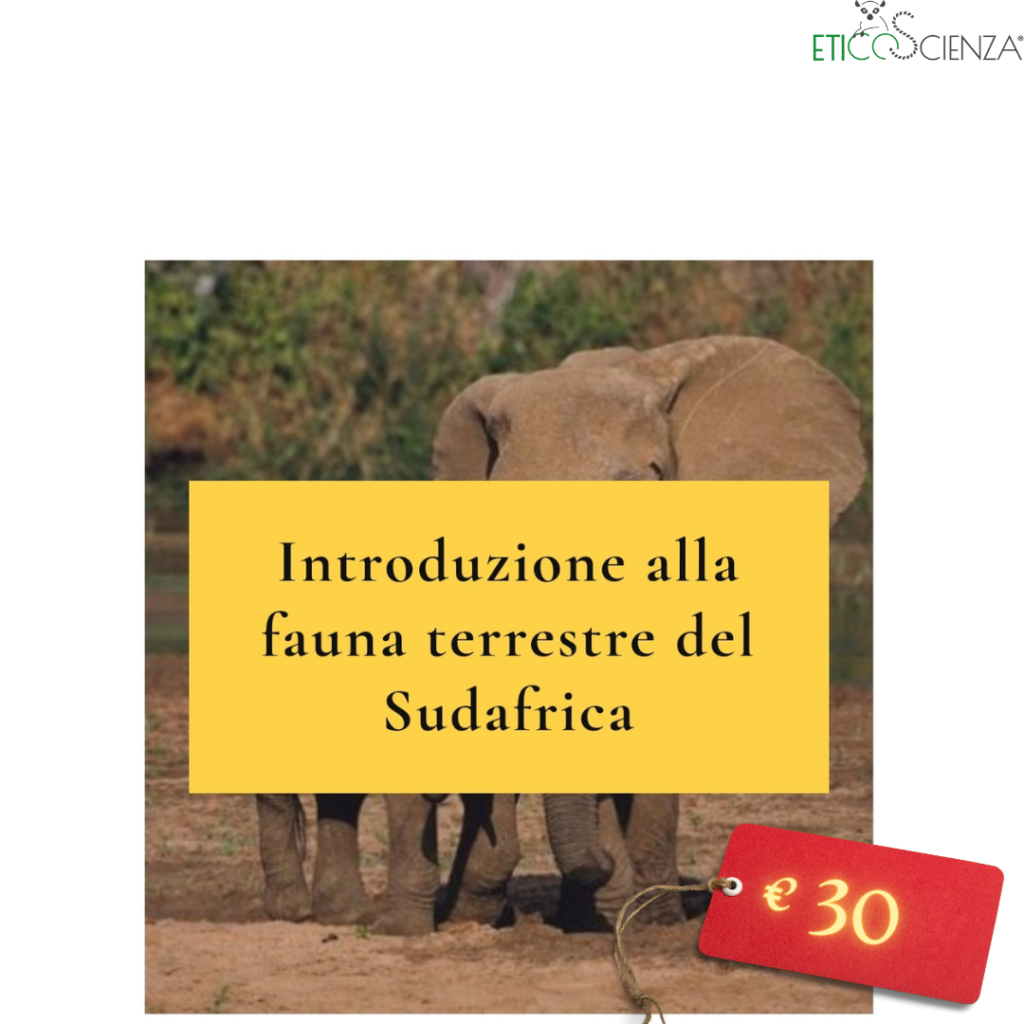 corso guida safari etologia