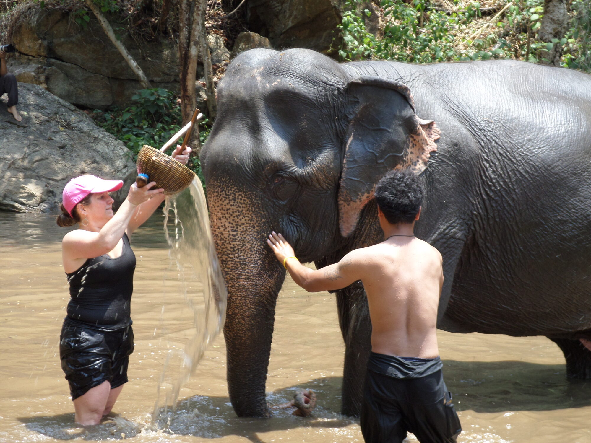 turismo malsano con gli animali