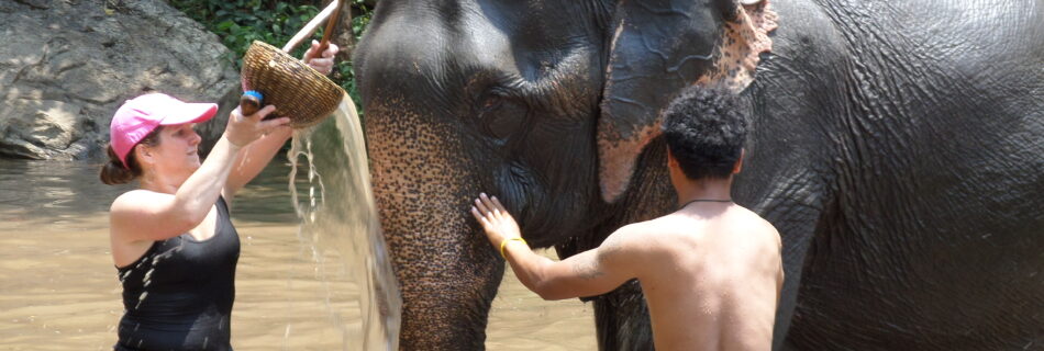 turismo malsano con gli animali