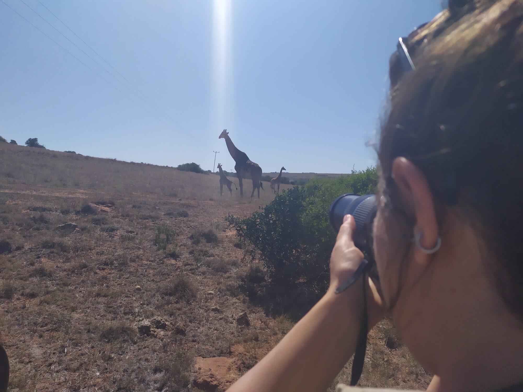 turismo etico con la fauna selvatica