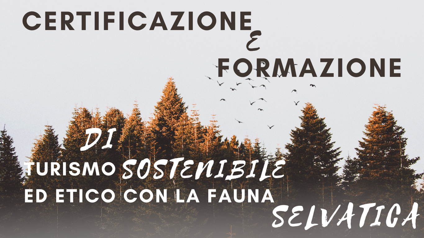 certificazione e formazione di turismo sostenibile